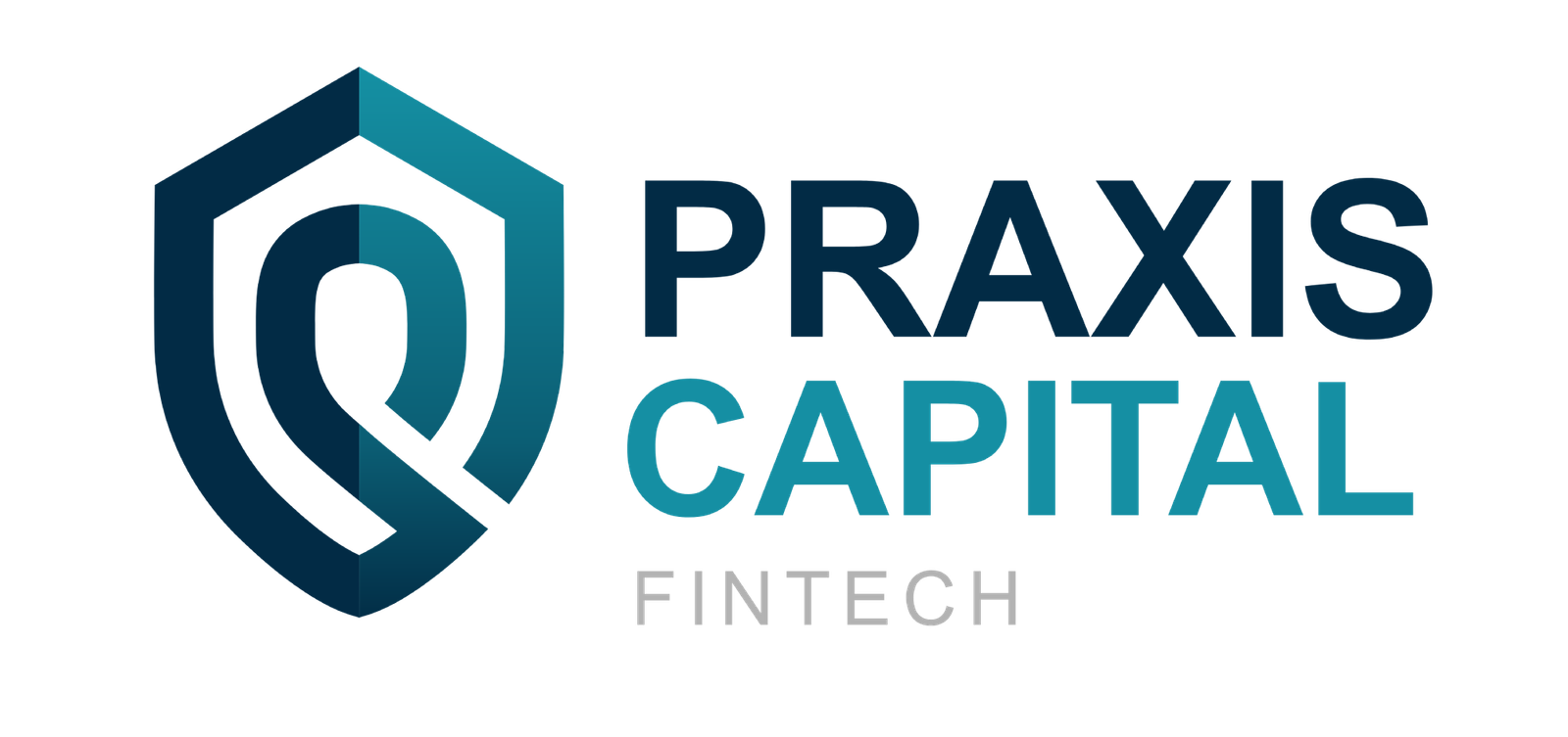 Praxis Capital - Fintech